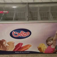 چرخ گوشتی و فریزر|یخچال و فریزر|بروجن, |دیوار