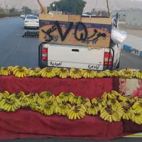 موز لوکس حراجی