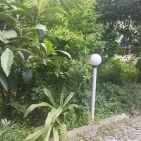 ویلا پای کوه|اجارهٔ کوتاهمدت ویلا و باغ|لاهیجان, لیالستان|دیوار