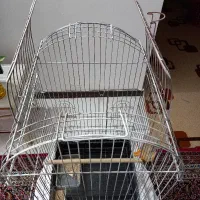 قفس طوطی|لوازم جانبی حیوانات|ملارد, |دیوار