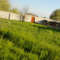 زمین باغی دور دیوار