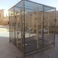قفس|لوازم جانبی حیوانات|شیراز, کرونی(خاتونک)|دیوار