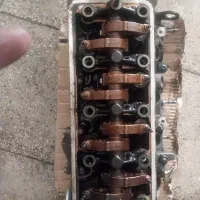 سرسیلندراستوک اروپایی پژوتیپ ۲ و ۵ برندسیفا فرانسه