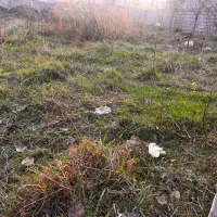 زمین مسکونی ۳۰۰متری  سند تک برگ  شهرک بام سبز|فروش زمین و ملک کلنگی|رضوانشهر, |دیوار