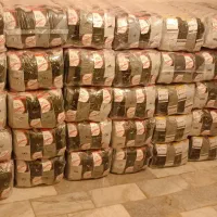 ۱۰۰۰ جین فقط نقدی مردانه کامپیوتری