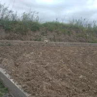 زمین کشاورزی به مساحت ۴۴۰۰متر به فروش میرسد