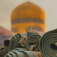 نیروی اداری خانم