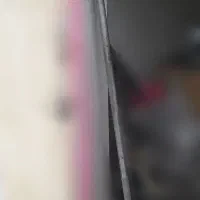 میله هالتر