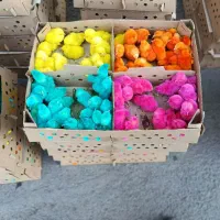 جوجه یک روزه