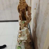 آبنما|مجسمه، تندیس، ماکت|باقرشهر, |دیوار