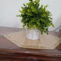 کاور مبل ژله‌ای|مبلمان خانگی و میز عسلی|قائن, |دیوار
