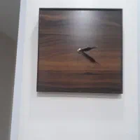 تعدای ساعت دیواری و تابلو