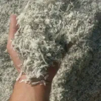 تفاله شکسته