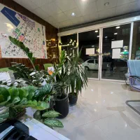 زمین-محله-10-دو-نبش-حاشیه-کاوه