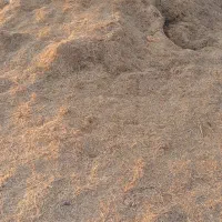 گاه زرد برای کاه گل
