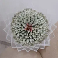 دسته گل پولی