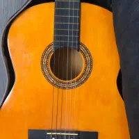 گیتار همراه با کیف|گیتار، بیس، امپلیفایر|سیلوانه, |دیوار