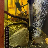 آکواریوم با تمامی تجهیزات فقط ۱۰ میلیون تومان|ماهی|تهران, سهروردی|دیوار