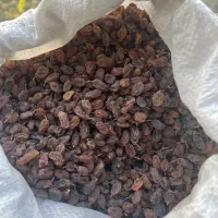 خریدوفروش محصولات کشاورزی|خوردنی و آشامیدنی|خرمدره, |دیوار