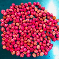 نخود فرنگی الدرمن شرکتی فروش ویژه