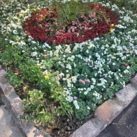 انجام خدمات باغبانی و فضا سبز