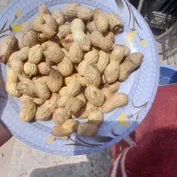 کاملن تازه وتمیز وخوشمزه|حراج|اهواز, کوی علوی|دیوار