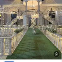 نیازمند همکار خانوم