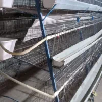 قفس مرغ تخمگذار