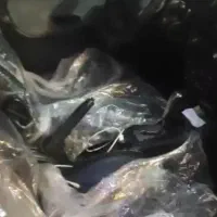 ۲۰۶ مدل ۱۳۸۷ تیپ ۶|خودرو سواری و وانت|باقرشهر, |دیوار