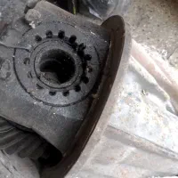 کله گاوی ماشین