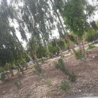 زمین-فروشی