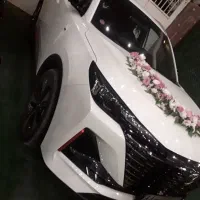 ضامن وام ازدواج شراکتی