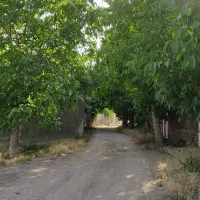 باغ ۱۰۰۰ متر با مجوز ساخت دستجرد|فروش خانه و ویلا|قم, باغ شریفی|دیوار