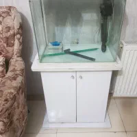 آکواریوم ماهیران