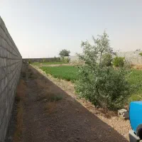 فروش باغ۱۰۰۰ متریدراللهاباد