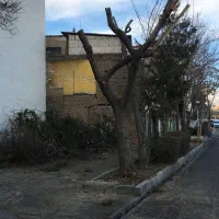 ملک-کلنگی