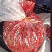 فله  ای  کیفیت  درجه  یک