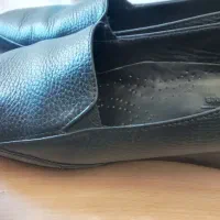 کفش اسپرت
