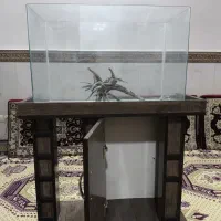 اکواریوم 70*40 همرا با تمام وسایل و میز ام دی اف|لوازم جانبی حیوانات|پاکدشت, شهرک امام رضا|دیوار