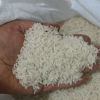 برنج طارم محلی