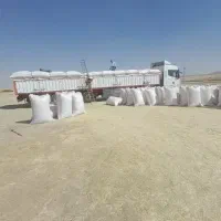 خریدار کاه گندم دیم( قروه )