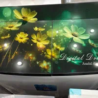 لباسشویی دو قلو ناسیوناال F14