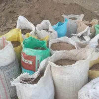 کودگوسفندی داخل گونی|گل و گیاه طبیعی|بروجرد, |دیوار