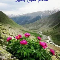 نگهداری گل و گیاه|خدمات باغبانی و درختکاری|تهران, پاسداران|دیوار