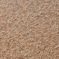 فروش گندم|عمده‌فروشی|کلات (ایلام), |دیوار