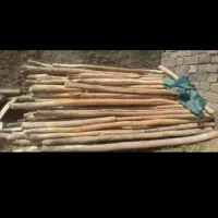 چ وب درآمده اسقف خریداریم سالم وپوسیده|خدمات باغبانی و درختکاری|قیدار, |دیوار