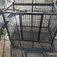 قفس سگ|لوازم جانبی حیوانات|محمدشهر, شهرک چمران|دیوار