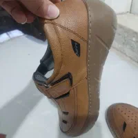 کفش|کیف، کفش، کمربند|گلبهار, شهر جدید گلبهار|دیوار