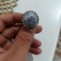 شجر های قائن بسیار زیبا