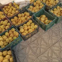 بی تازە درجە یک|عمده‌فروشی|سروآباد, |دیوار